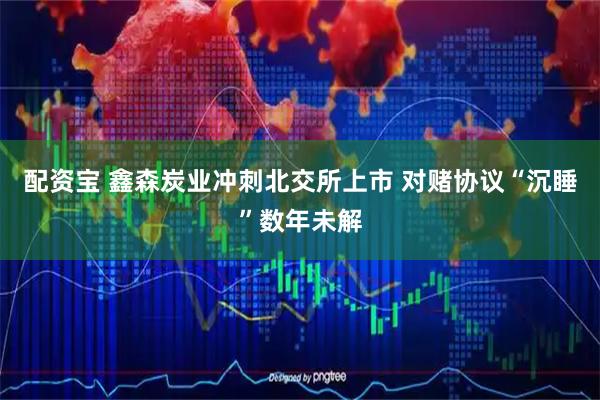 配资宝 鑫森炭业冲刺北交所上市 对赌协议“沉睡”数年未解