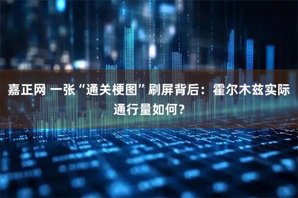 嘉正网 一张“通关梗图”刷屏背后：霍尔木兹实际通行量如何？