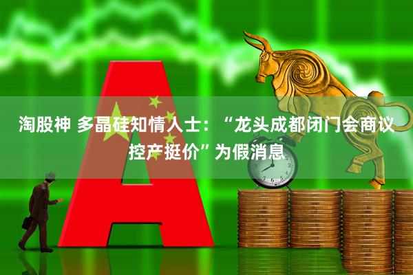 淘股神 多晶硅知情人士：“龙头成都闭门会商议控产挺价”为假消息