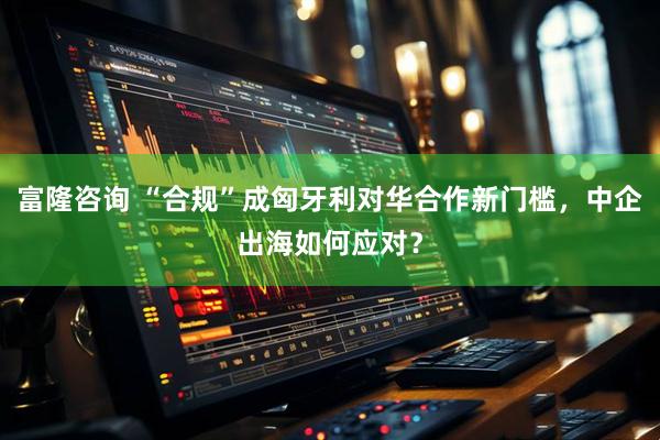 富隆咨询 “合规”成匈牙利对华合作新门槛，中企出海如何应对？