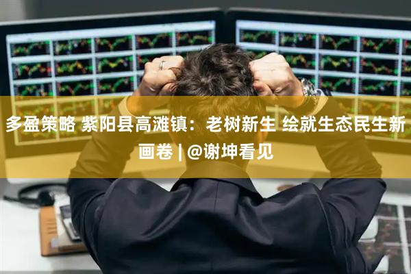 多盈策略 紫阳县高滩镇：老树新生 绘就生态民生新画卷 | @谢坤看见