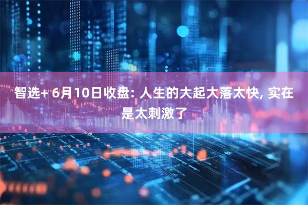 智选+ 6月10日收盘: 人生的大起大落太快, 实在是太刺激了